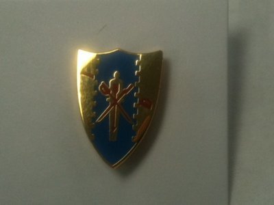 Mini Crest Pin